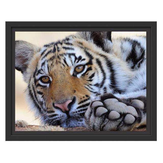 Gerahmtes Wandbild Tiger East Urban Home Größe: 30cm H x 38cm B on Productcaster.