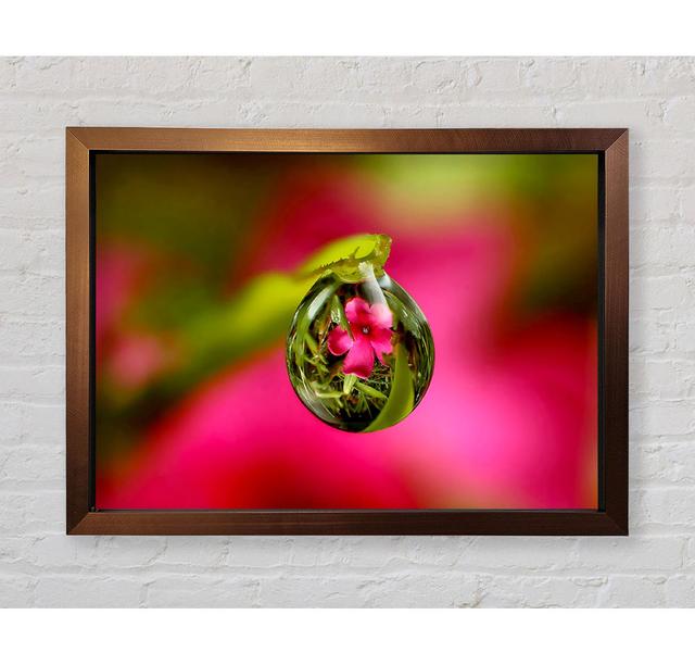 Reflection Of A Pink Flower - Single Picture Frame Art Prints Bright Star Size: 100cm H x 141.4cm W x 3.4cm D on Productcaster.