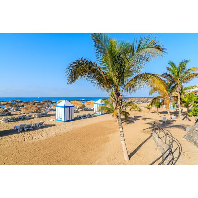 El Duque Beach With Tropical Palm Trees House of Hampton Size: 61cm H x 91cm W on Productcaster.