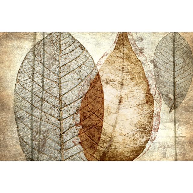 Transparent Leaves - Wrapped Canvas Painting Marlow Home Co. Size: 61cm H x 91cm W x 3.8cm D on Productcaster.