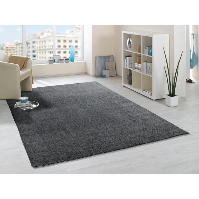 Shag Dark Grey Rug Brayden Studio Rug Size: Rectangular 120 x 170cm on Productcaster.