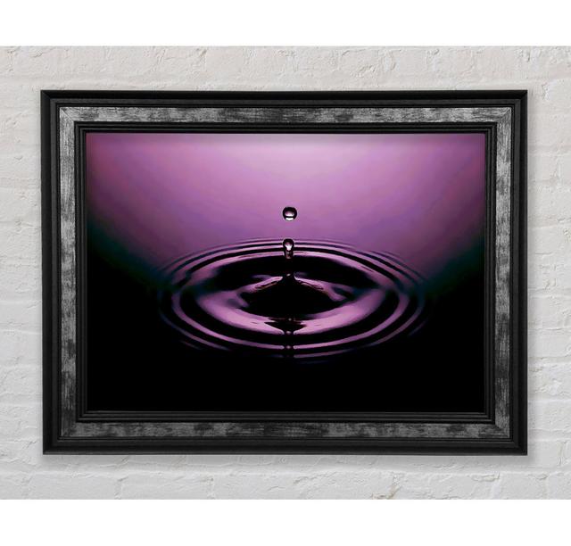 Single Picture Frame Art Prints Bright Star Size: 42cm H x 59.7cm W x 8cm D on Productcaster.