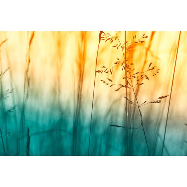 Silhouette Of Wildflowers In Meadow During Sunset by Pawel.gaul - No Frame Set on Canvas 17 Stories Größe: 80 cm H x 120 cm B on Productcaster.