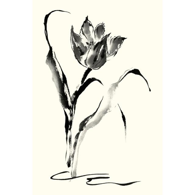 Studies In Ink - Tulip by Nan Rae - Wrapped Canvas Art Prints Rosalind Wheeler Size: 30cm H x 20cm W x 3.8cm D on Productcaster.