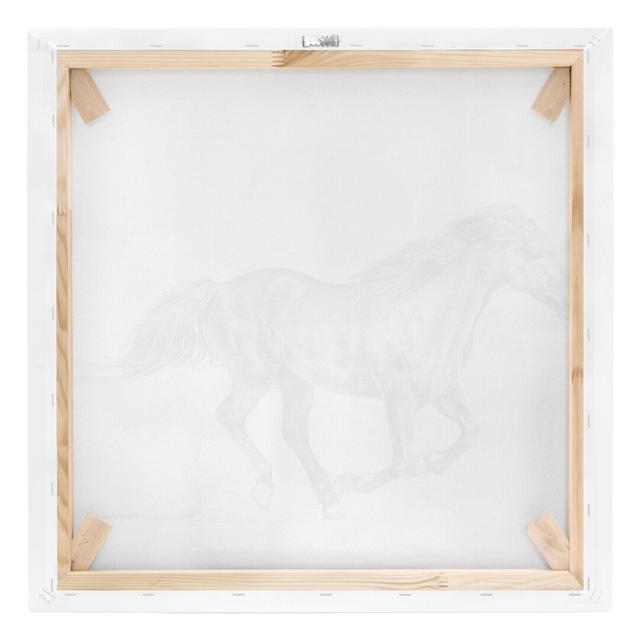 Wild Horse Study - Mare - Wrapped Canvas Graphic Art Rosalind Wheeler on Productcaster.