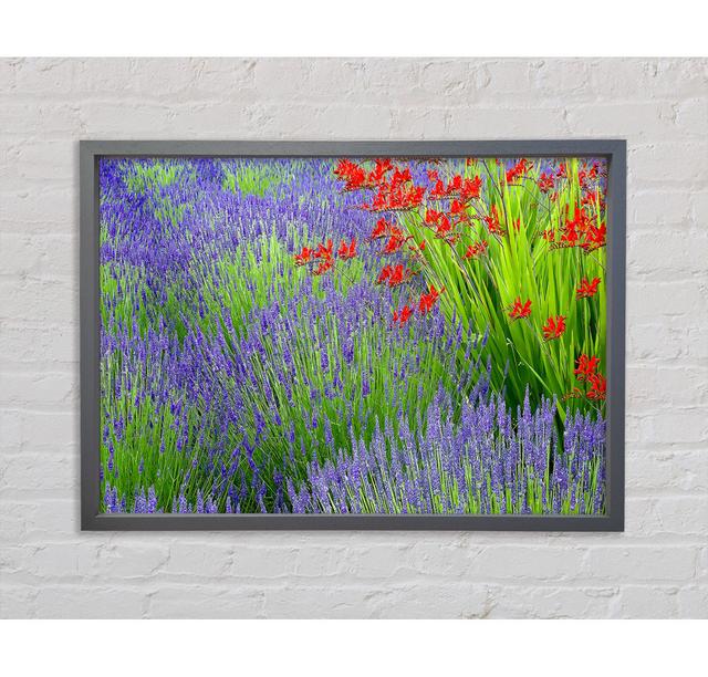 Lavender And Crocosmia - Single Picture Frame Art Prints on Canvas Bright Star Size: 59.7cm H x 84.1cm W x 3.3cm D on Productcaster.