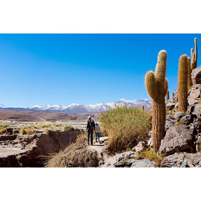 Family Vacation in Chile by Noblige - Wrapped Canvas Photograph Natur Pur Size: 30cm H x 46cm W on Productcaster.