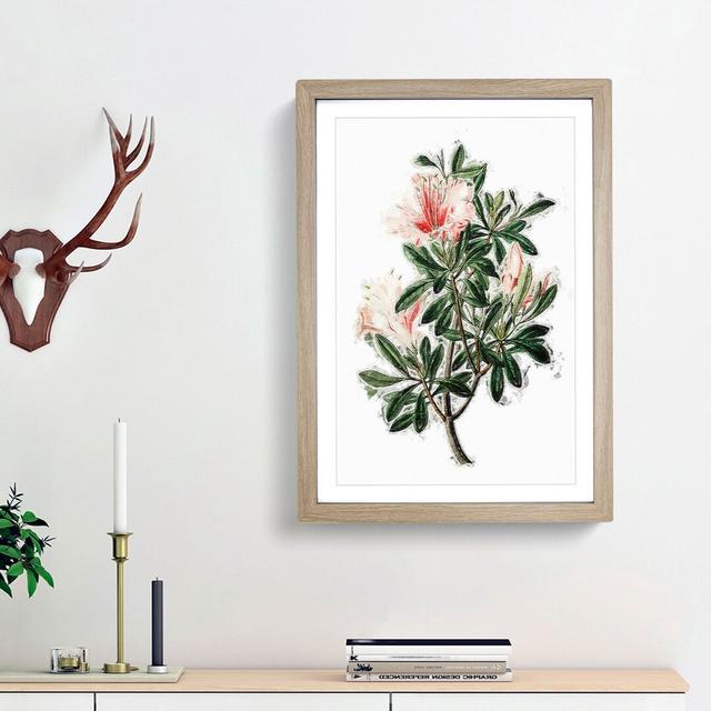 Pink Chinese Azalea Flowers - Picture Frame Painting Print East Urban Home Frame Option: Oak Framed, Size: 36cm H x 27cm W x 2cm D on Productcaster.