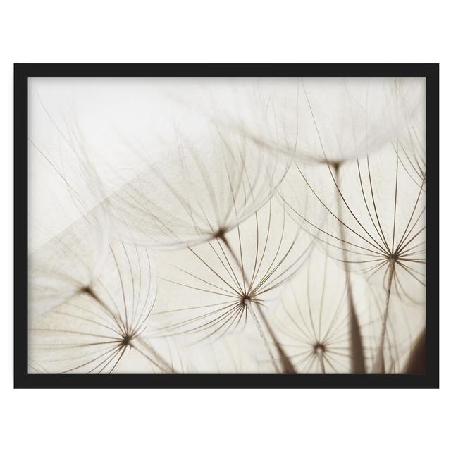 Gentle Grasses - Picture Frame Graphic Art Rosalind Wheeler Frame Option: Black Framed, Size: 40cm H x 55cm W x 2cm D on Productcaster.