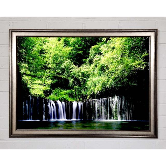 Rain Forest - Single Picture Frame Art Prints Union Rustic Size: 59.7cm H x 84.1cm W x 1.5cm D on Productcaster.