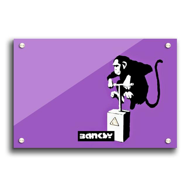 Monkey Detonator Purple by Banksy - Unframed Graphic Art Print on Acrylic East Urban Home Size: 59.4cm H x 84.1cm W on Productcaster.