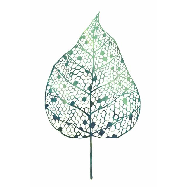 Veiled Leaf I by Grace Popp - Wrapped Canvas Art Prints Pergo Classics Size: 46cm H x 30cm W x 3.8cm D on Productcaster.