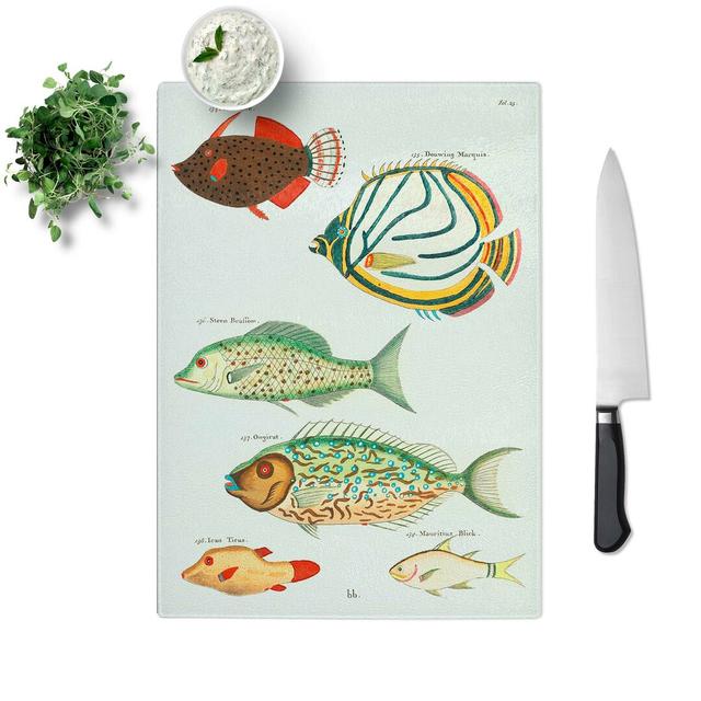 Glass East indies Fish Illustrations Fol. 23 by Louis Renard Chopping Board East Urban Home Size: 28.5 cm W x 20 cm L on Productcaster.