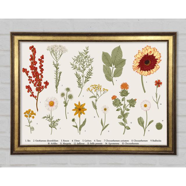 Flower Illustration Handrawn - Print Brambly Cottage Size: 29.7cm H x 42cm W x 1.5cm D on Productcaster.