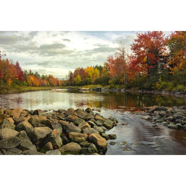 Northeast Creek by Danny Head - Wrapped Canvas Print Blue Elephant Size: 20cm H x 30cm W on Productcaster.