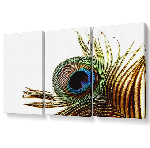 Peacock Feather Close-up - 3 Piece Wrapped Canvas Graphic Art Bloomsbury Market Size: 50.8cm H x 106.6cm W on Productcaster.