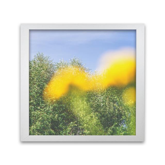 Summer by Nur Mut - Picture Frame Photograph Print on Paper Alpen Home Size: 50 cm H x 50 cm W, Frame Options: White on Productcaster.