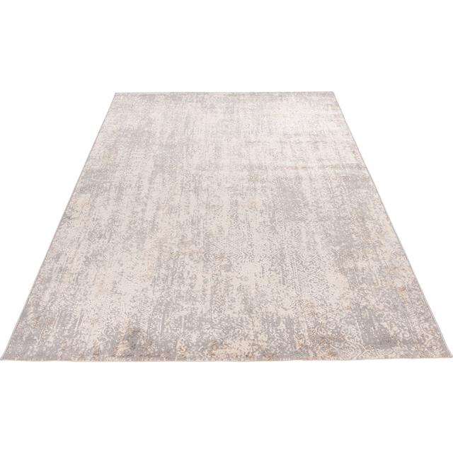 My Salsa Obsession Rug Size: Rectangle 160 x 230cm, Colour: Taupe on Productcaster.