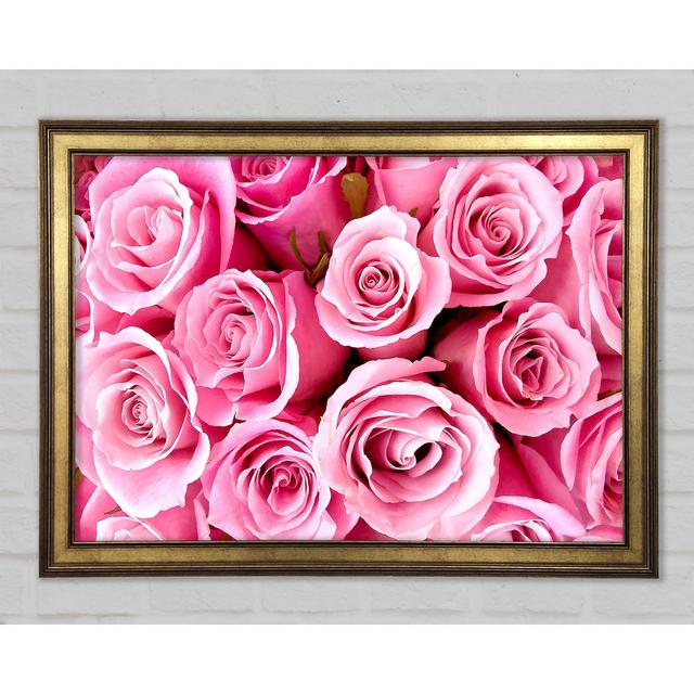 Besondere rosa Rosen - Einzelne Bilderrahmen Kunstdrucke Canora Grey Größe: 42 cm H x 59,7 cm B x 1,5 cm T on Productcaster.