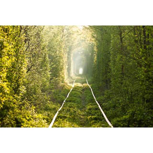 Green Tunnel. by Lana Miroshnichenko - Wrapped Canvas Print Union Rustic Size: 51cm H x 76cm W x 3.8cm D on Productcaster.