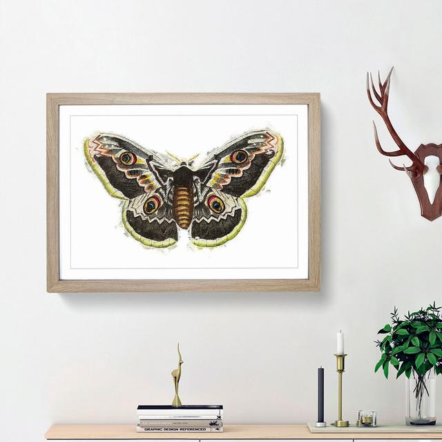 Great Peacock Moth by George Shaw - Picture Frame Painting Print East Urban Home Frame Option: Oak Framed, Size: 48cm H x 65cm W x 2cm D on Productcaster.