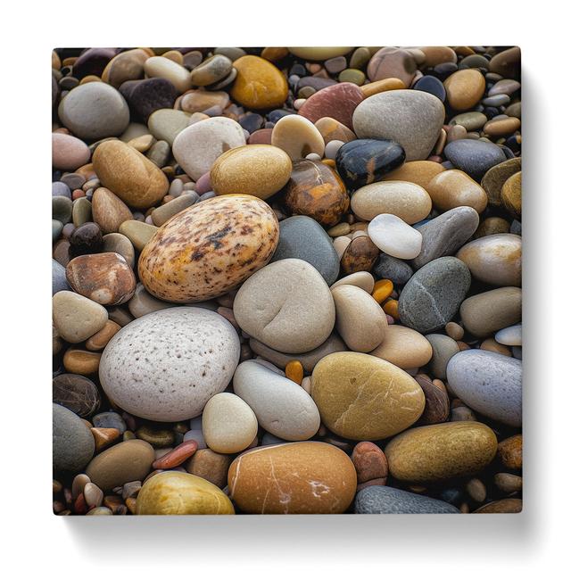 Pebbles Photograph 17 Stories Size: 50cm H x 50cm W x 3cm D on Productcaster.