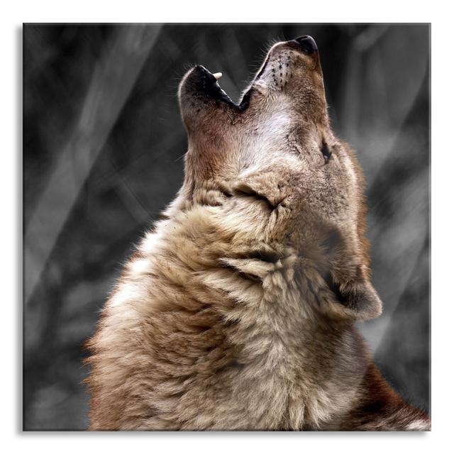 Graceful Howling Wolf - No Frame Print on Glass Union Rustic Size: 60cm H x 60cm W x 0.4cm D on Productcaster.