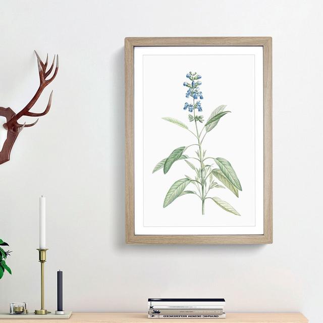 Sage Flowers by Pierre-Joseph Redoute - Picture Frame Painting Print East Urban Home Size: 48cm H x 36cm W x 2cm D, Frame Option: Oak Framed on Productcaster.