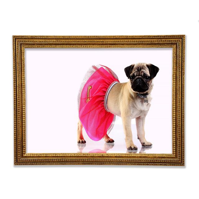 Pug Dog Tutu - Print Ebern Designs Size: 84.1cm H x 118.9cm W on Productcaster.