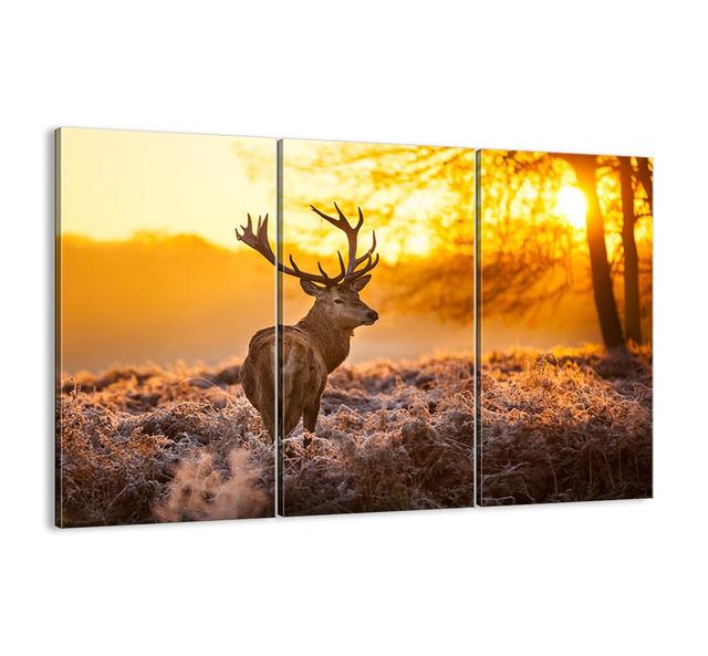 King of the Autumn Forest - 3 Piece Unframed Photograph Print Set on Canvas Union Rustic Size: 110cm H x 165cm W x 1.8cm D on Productcaster.