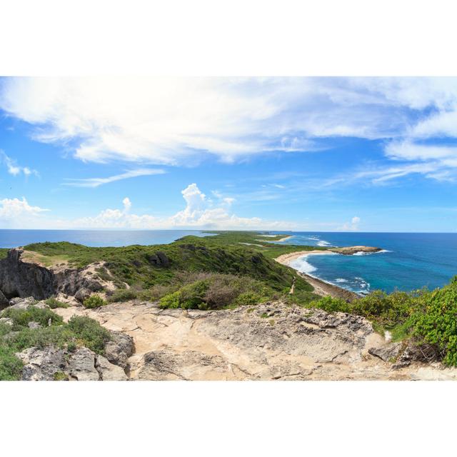 Guadeloupe Island by Efenzi - No Frame Print on Canvas Beachcrest Home Size: 30cm H x 46cm W on Productcaster.