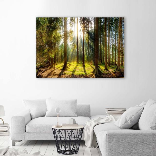 Leinwandbild Forest Nature Landscape Sunbeams Union Rustic Größe: 80 cm H x 120 cm B on Productcaster.