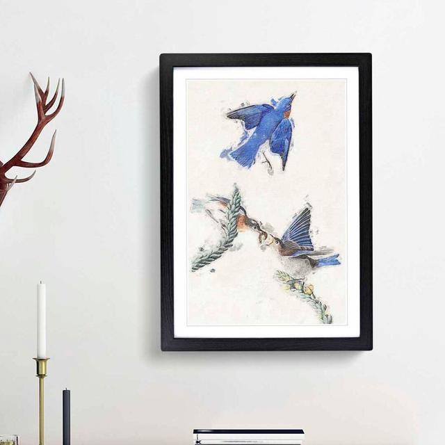 Bluebirds by John Audubon - Picture Frame Painting Print East Urban Home Frame Option: Black Framed, Size: 65cm H x 48cm W x 2cm D on Productcaster.