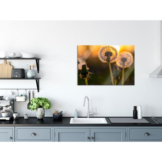 Dandelion - No Frame Print on Glass Brayden Studio Size: 60cm H x 80cm W x 0.4cm D on Productcaster.