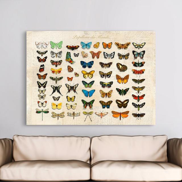 Leinwandbild Butterflies of the World, After D'Orbigny von Stef Lamanche Ebern Designs Größe: 50 cm H x 70 cm B x 4 cm T on Productcaster.