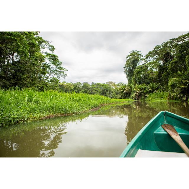 Costa Rica Rainforest by Swissmediavision - No Frame Print on Canvas 17 Stories Size: 81cm H x 122cm W on Productcaster.