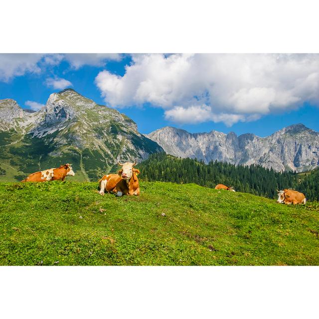 Cows Resting Salzburgerland by Flavio Vallenari - No Frame Art Prints on Canvas Brambly Cottage Size: 51cm H x 76cm W on Productcaster.