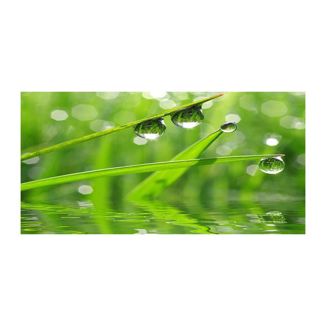 Drops on the Grass - Unframed Art Prints on Canvas Latitude Run on Productcaster.