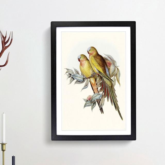 Princess of Wales's Parakeets by Elizabeth Gould - Picture Frame Painting Print East Urban Home Frame Option: Black Framed, Size: 36cm H x 27cm W x 2c on Productcaster.