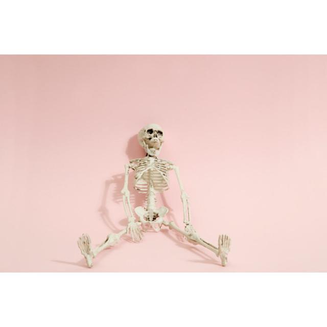 Pink Skeleton by LoulouVonGlup - Wrapped Canvas Photograph The Seasonal Aisle Size: 61cm H x 91cm W x 3.8cm D on Productcaster.