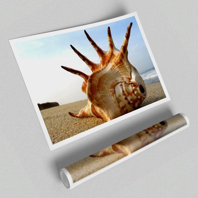 Whelk Shell on The Beach Beach - Graphic Art Print on Paper East Urban Home Size: 40.64cm H x 60.96cm W on Productcaster.