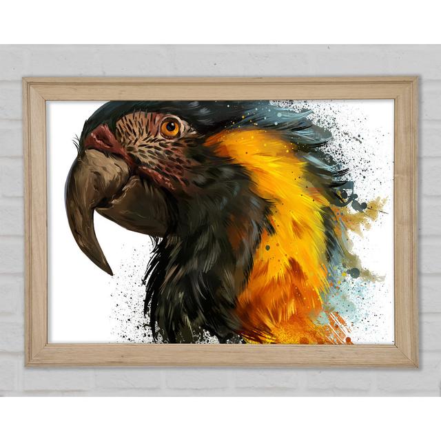 Rainbow Splatter Parrot - Single Picture Frame Art Prints Union Rustic Size: 42cm H x 59.7cm W x 1.5cm D on Productcaster.