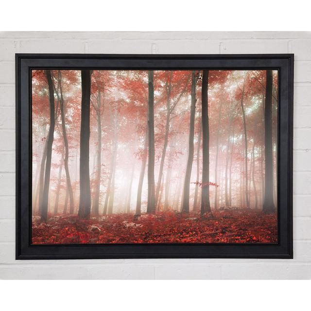 Red Misty Woods Framed Print Union Rustic Size: 84.1cm H x 118.9cm W x 1.5cm D on Productcaster.