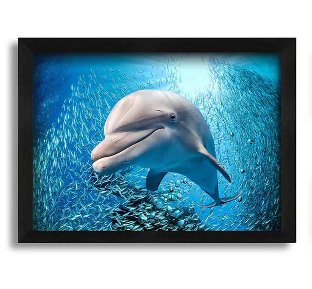 Dolphin Dinner Time Framed Print House of Hampton Size: 30cm H x 42cm W x 10cm D on Productcaster.