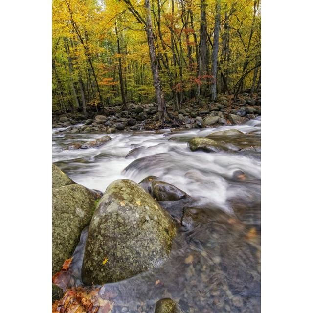 Roaring Waters I by Danny Head - Wrapped Canvas Photograph Gracie Oaks Size: 91cm H x 61cm W x 3.8cm D on Productcaster.