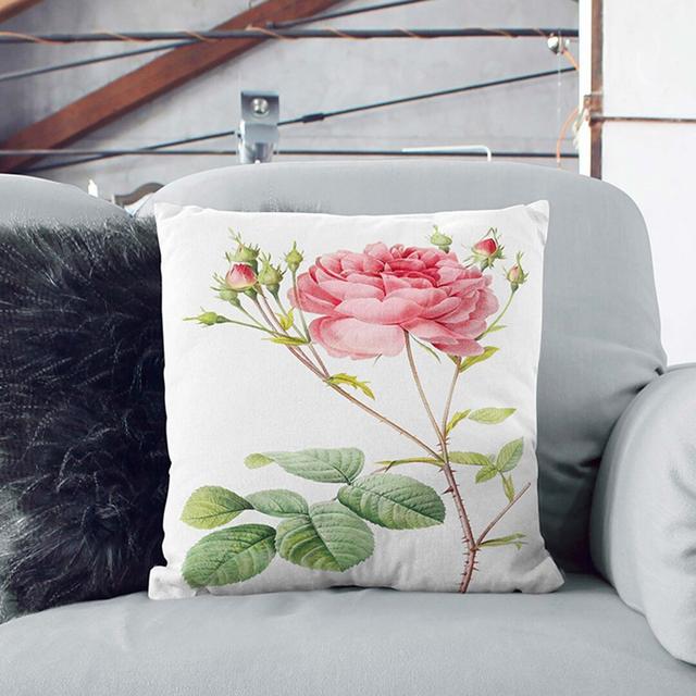 Cumberland Rose in Pink by Pierre-Joseph Redoute Cushion with Filling East Urban Home Size: 40cm H x 40cm W x 15cm D on Productcaster.