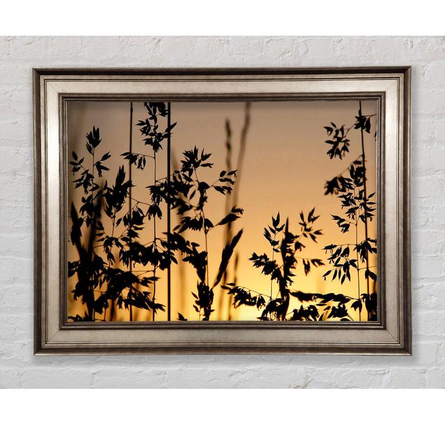 Sunlight Through The Reeds - Print Bright Star Size: 29.7cm H x 42cm W x 8cm D on Productcaster.