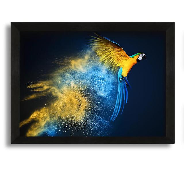 Powder Parrot Take off - Picture Frame Graphic Art on Canvas Pergo Classics Size: 30cm H x 42cm W x 10cm D on Productcaster.