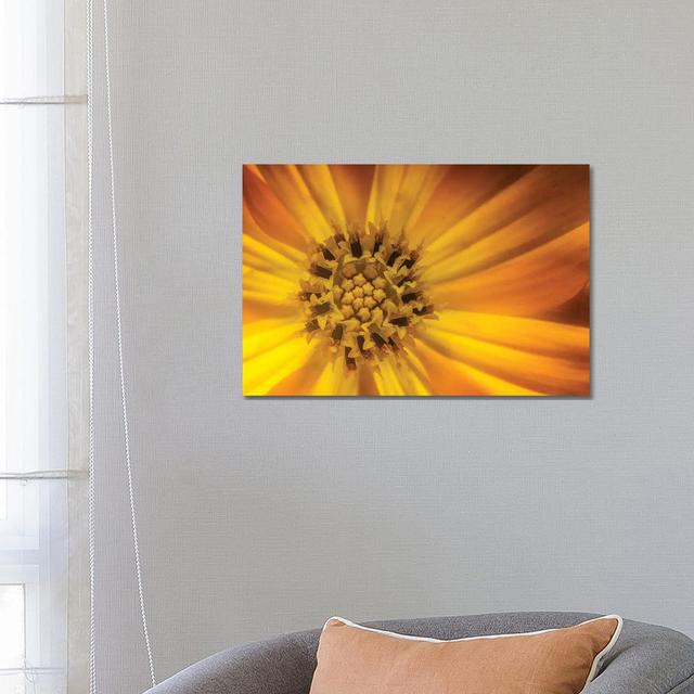 Sunflower by Glauco Meneghelli - Wrapped Canvas Print Brayden Studio Size: 45.72cm H x 66.04cm W x 3.81cm D on Productcaster.