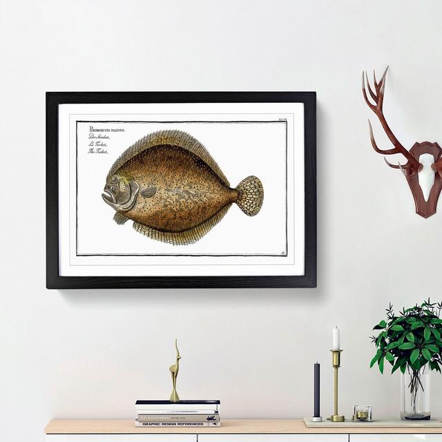 Turbot Fish by M.E. Bloch - Picture Frame Painting Print on MDF East Urban Home Frame Option: Black Framed, Size: 27cm H x 36cm W x 2cm D on Productcaster.